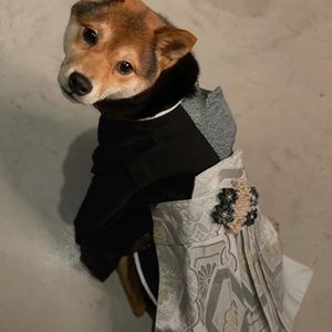 Custom Dog Kimono made from vintage kimono fabric